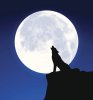 loup-garou-pleine-lune.jpg