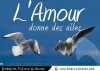 ailes.jpg