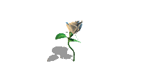 bravo fleur qui bouge.gif