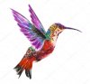 depositphotos_118352570-stock-photo-isolated-watercolor-hummingbird.jpg