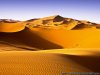 desert-sahara.jpg