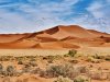 le-desert-namib-dunes-orange.jpeg