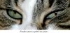 Hasard NET Foudre blog copie.jpg
