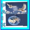 2020-07-29_180222.jpg-paic.jpg
