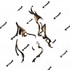 regard-removebg-preview.png