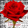 VEROanime.gif