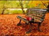 Romantic-autumn-daydreaming-18932448-1024-768.jpg