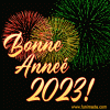 ny-365 bonne année 2023.gif