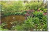 tableaux-sur-toile-petit-etang-dans-le-vieux-jardin.jpg