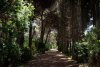 foret-randonnee-salento-pouilles-900x600.jpg