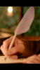 IMG_0017.png