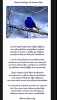 IMG_0116.png