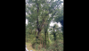 IMG_0143.png