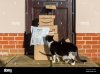 achats-en-ligne-donc-une-livraison-de-colis-et-boites-amazon-a-l-exterieur-d-une-porte-d-entre...jpg