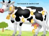 vache.jpg