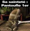 téléchargement (9).jpeg