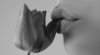 206024189-closeup-sensual-lips-woman-mouth-plump-lip-lipstick.jpg