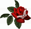 rose rouge2.gif