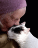 GIF la vieille dame et le chat tendresse.gif