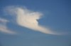 colombe-photo-nuage.jpg
