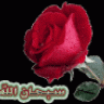 lamak