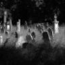 Sallyofthedarkness