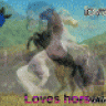 chevalaugalop72