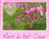 merci-coeur.jpg