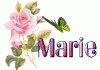 MARIE marie.gif MARIE marie.gif