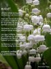 Muguet_20Maurice_20Careme_206401.jpg