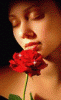 ROSE F 6.gif