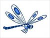 libellule_bleue.jpg