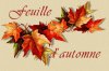feuilleautomne.jpg