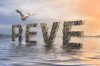 reve.jpg