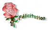 Félicitation rose.png