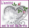 Amitié coeur sel.gif