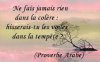 proverbe arabe.jpg