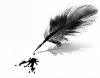 plume et encre.jpg