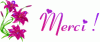Merci-5.gif