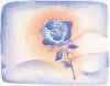 rose.jpg
