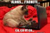 chat-lolcat-marrant-drole-avec-ordinateur.jpg