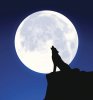loup-garou-pleine-lune.jpg loup-garou-pleine-lune.jpg