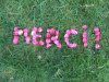 MERCI.jpg