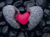 coeurs.jpg