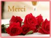 merci.jpg