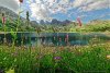 thumb_Magnifique-prairie-en-fleurs-au-bord-du-lac-alpin-d_Allos.jpg