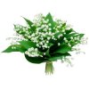 bouquet-100-muguet-250x250-21448.jpg bouquet-100-muguet-250x250-21448.jpg