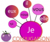 conjugison.png