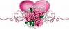 rose et coeur.png
