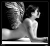 angel[1].jpg